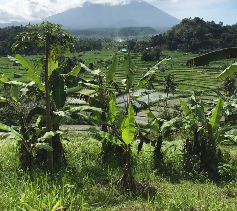 Photo of Outdoor in Tumbu Village