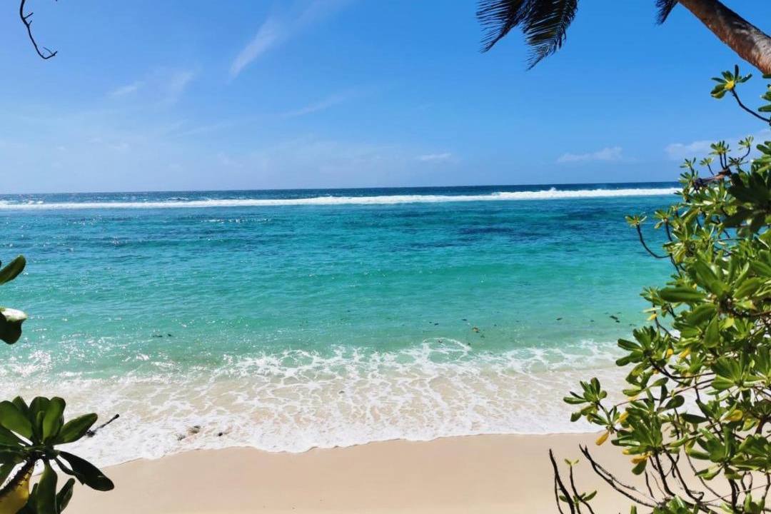 Photo of Others in Anse Forbans