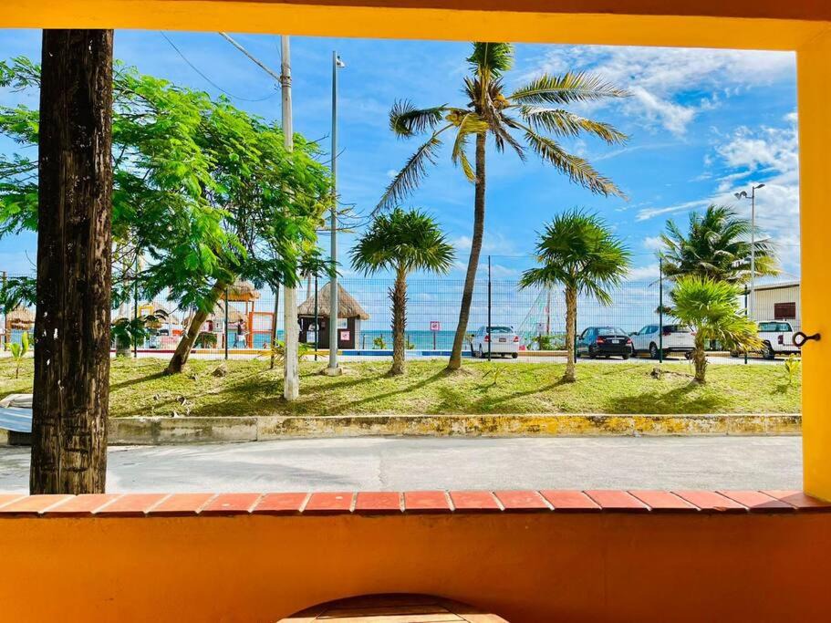 Photo of Others in Puerto Juarez