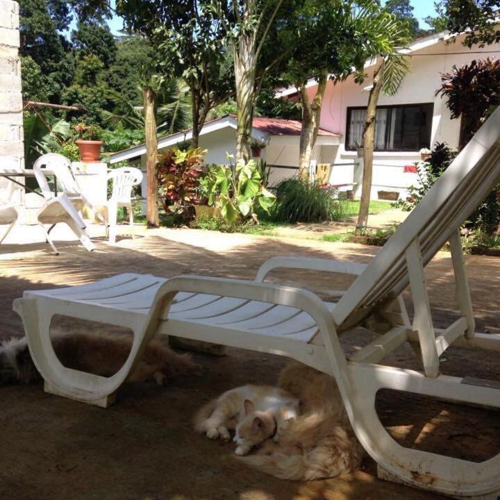 Photo of Others in Mahe Island