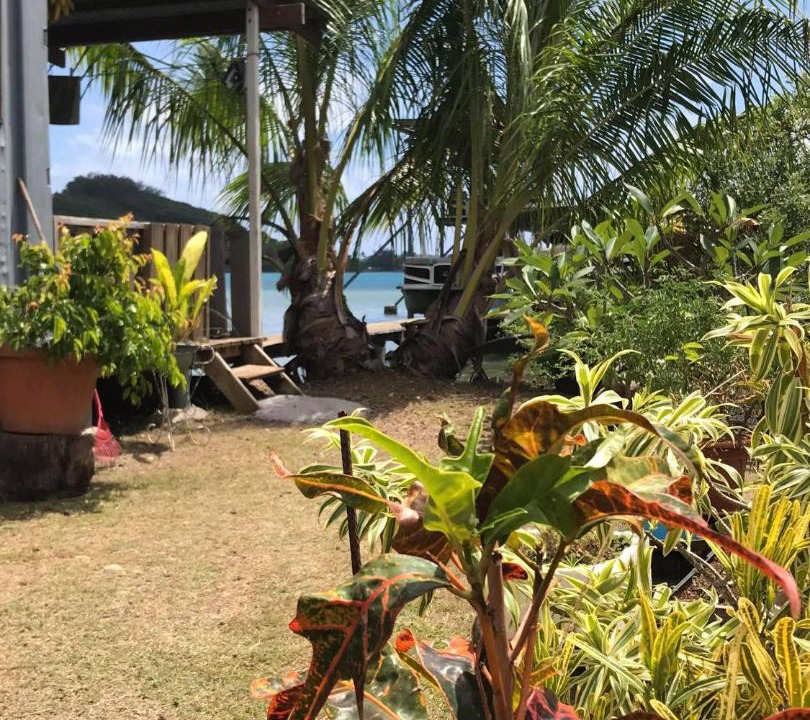 Photo of Others in Bora Bora