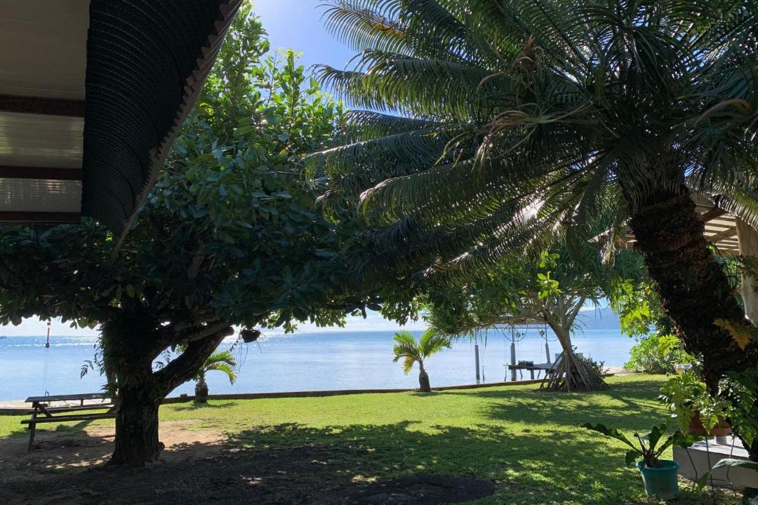 Photo of Outdoor in Teahupoo