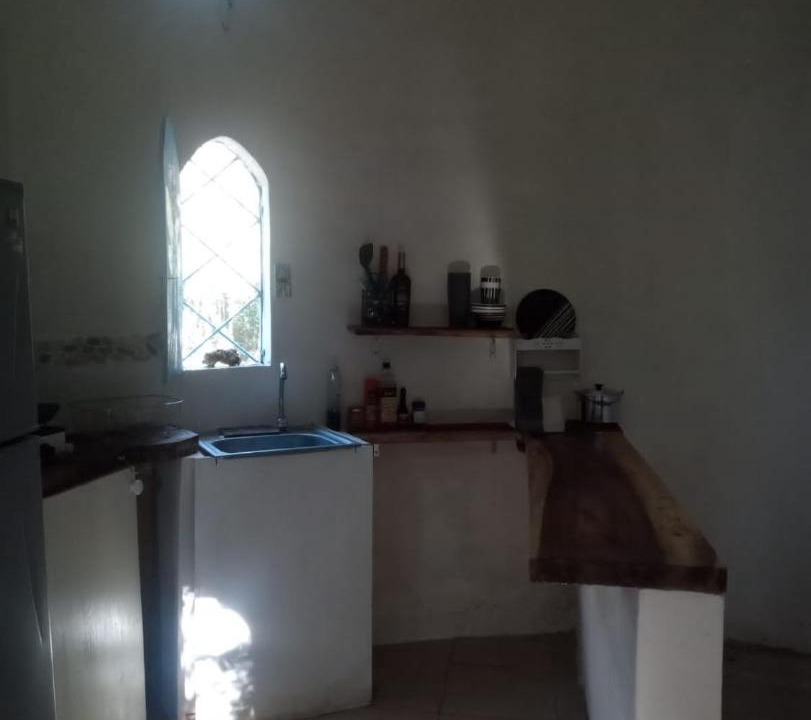 Photo of Kitchen in Leona Vicario