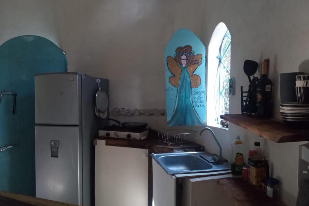 Photo of Kitchen in Leona Vicario