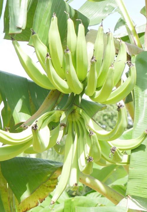 Photo of Others in Mahe Island