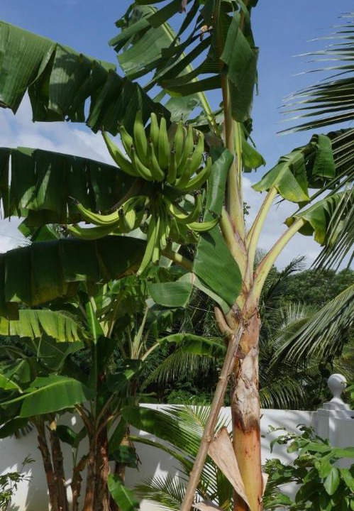 Photo of Others in Mahe Island