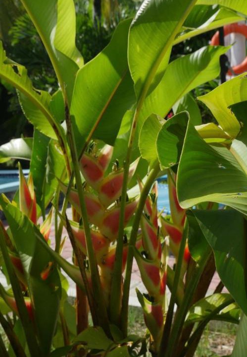Photo of Others in Mahe Island