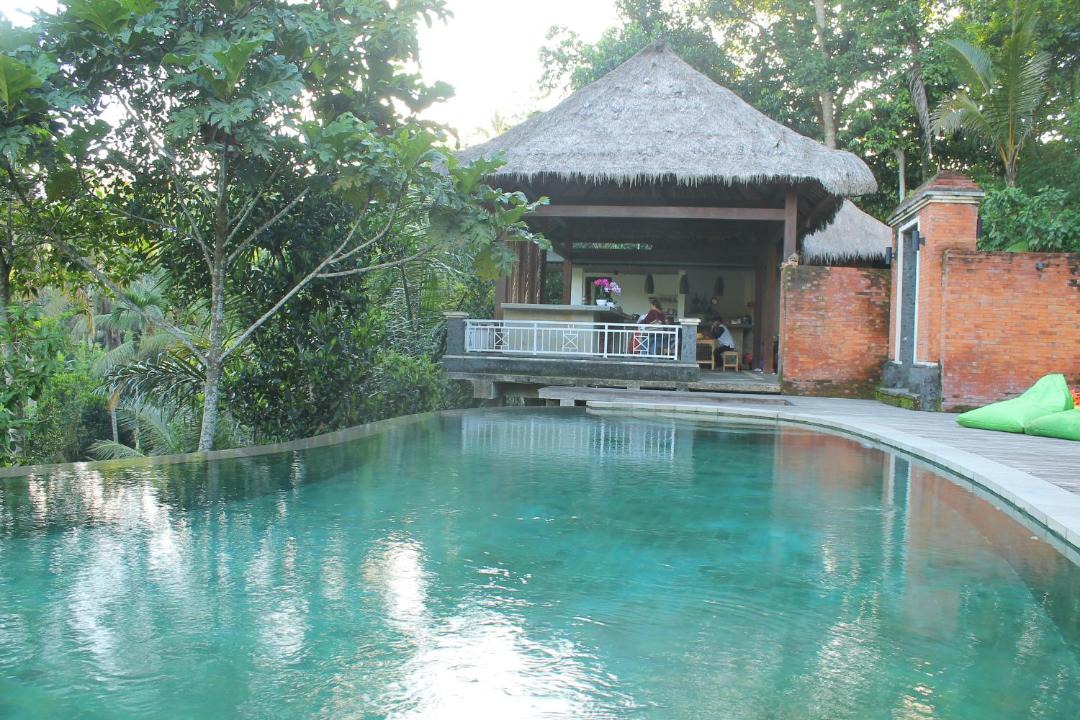 Photo of Outdoor in Tegallalang
