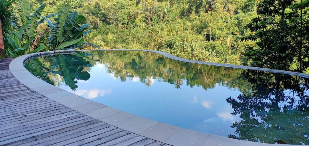 Photo of Outdoor in Tegallalang