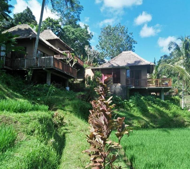 Photo of Buildings in Tegallalang