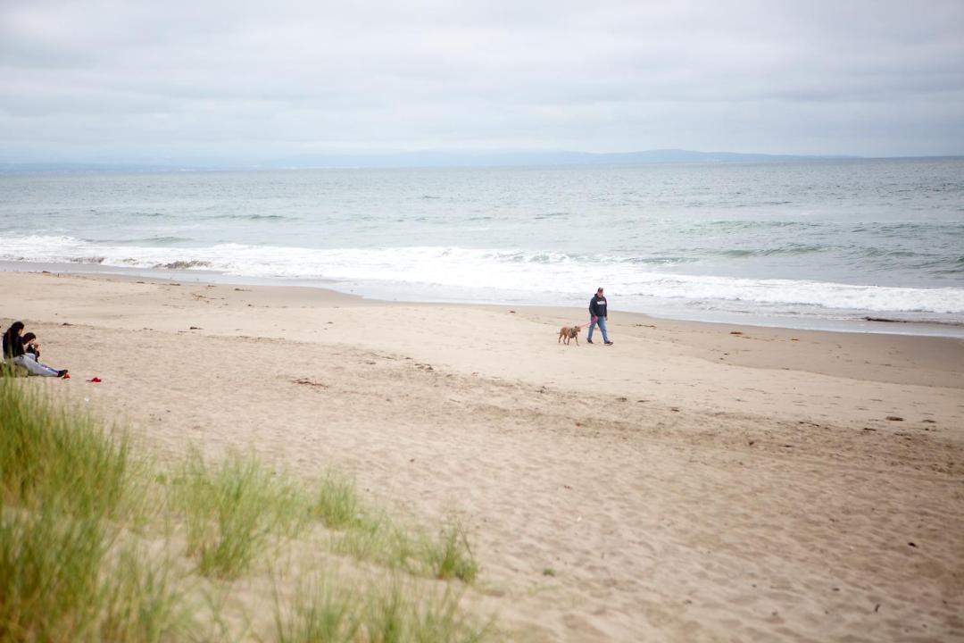 Photo of Outdoor in Pajaro Dunes