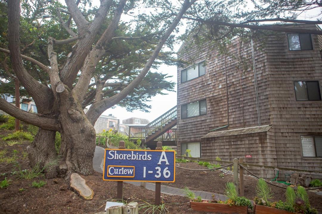 Photo of Buildings in Pajaro Dunes
