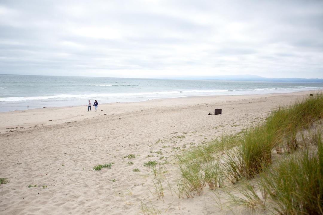 Photo of Outdoor in Pajaro Dunes