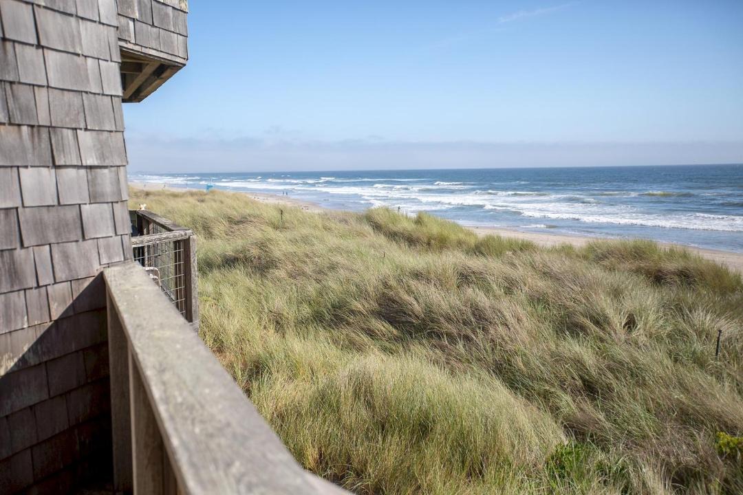 Photo of Others in Pajaro Dunes