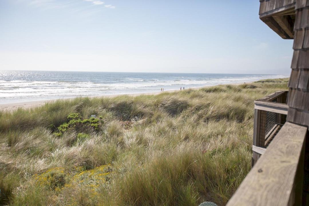 Photo of Others in Pajaro Dunes