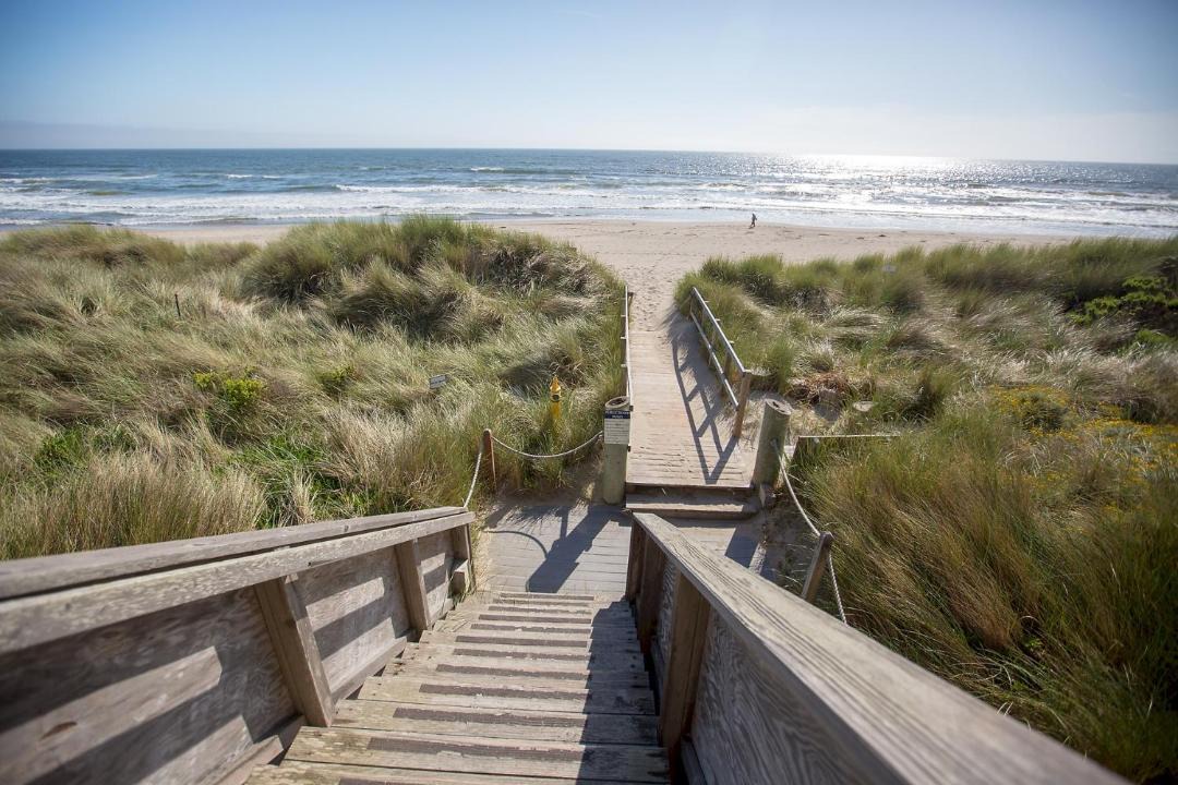 Photo of Others in Pajaro Dunes