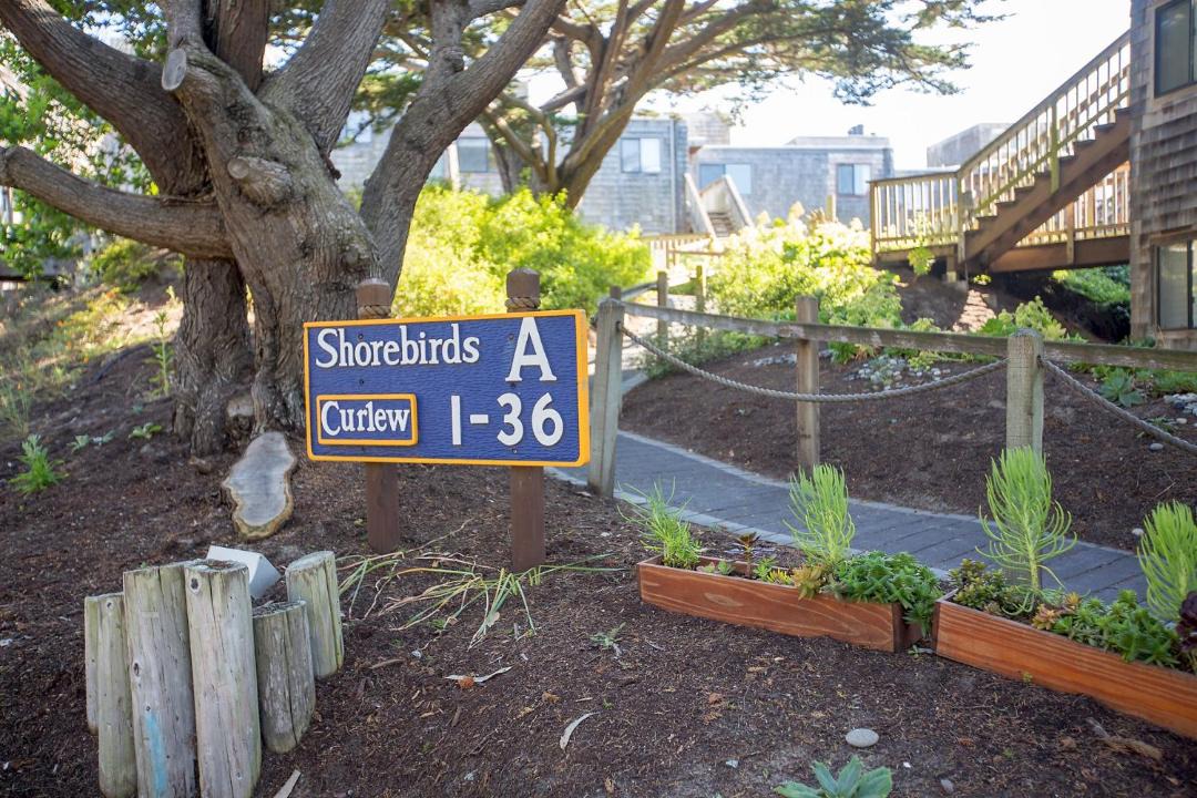 Photo of Buildings in Pajaro Dunes