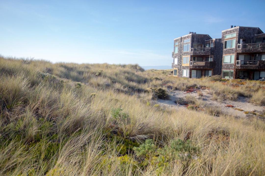 Photo of Others in Pajaro Dunes