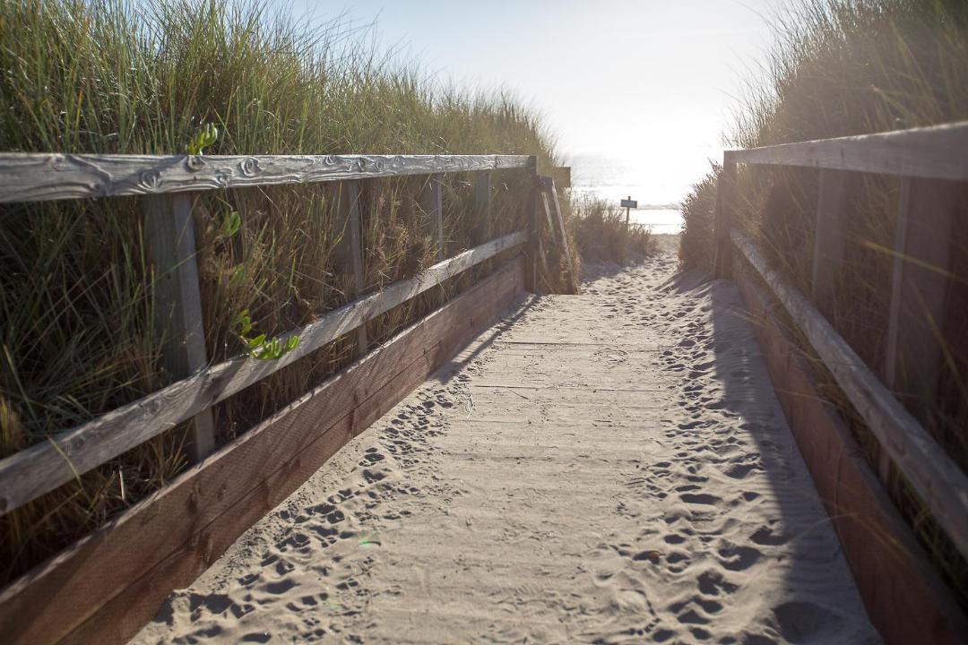 Photo of Others in Pajaro Dunes