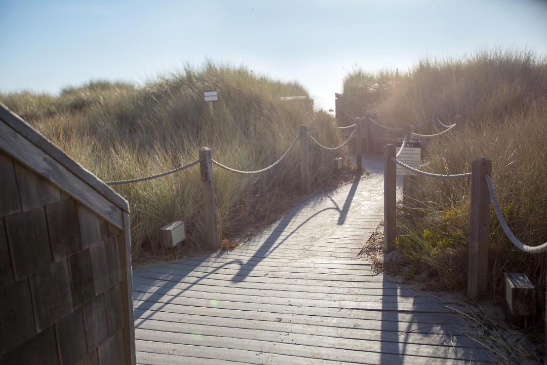 Photo of Others in Pajaro Dunes