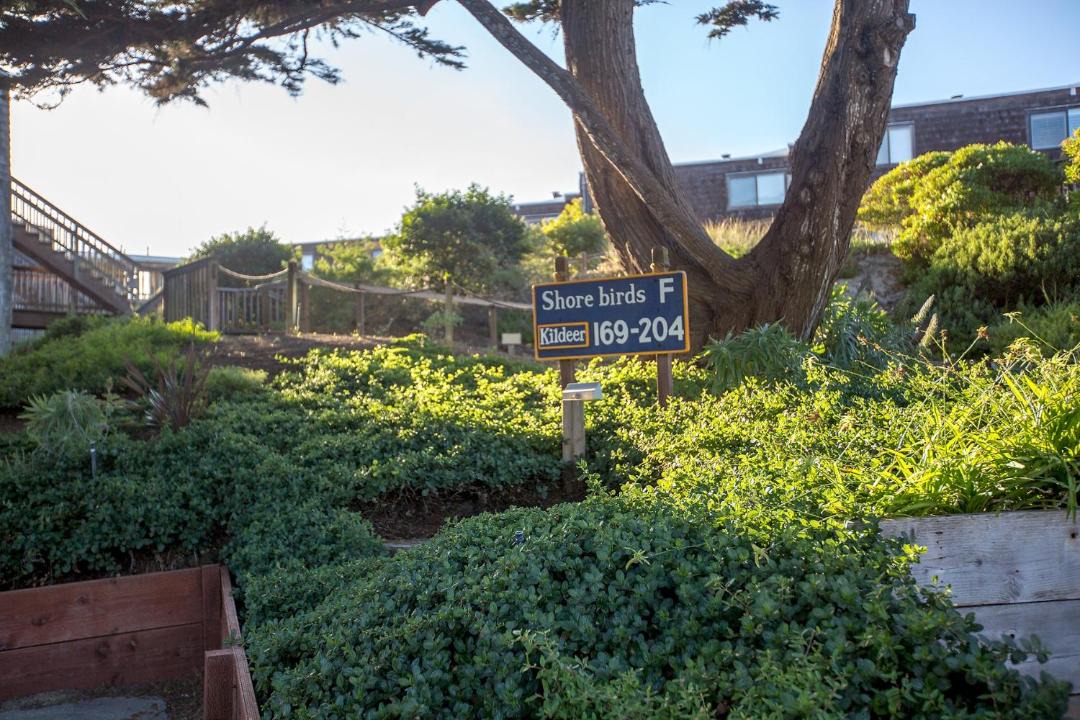 Photo of Others in Pajaro Dunes