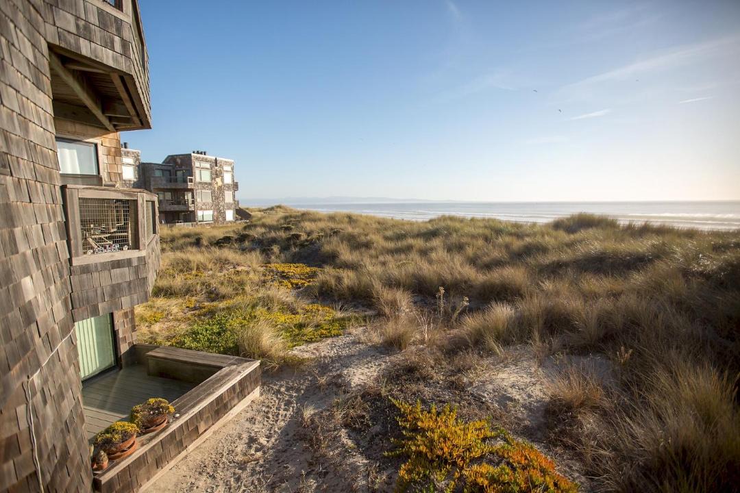 Photo of Others in Pajaro Dunes