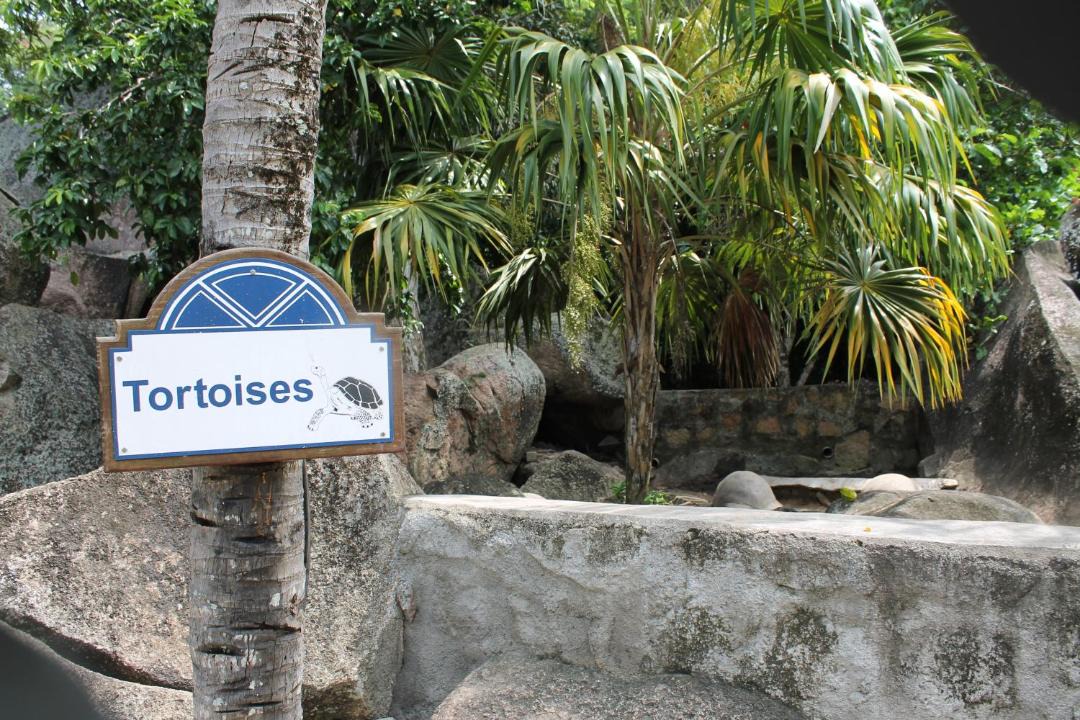 Photo of Others in La Digue