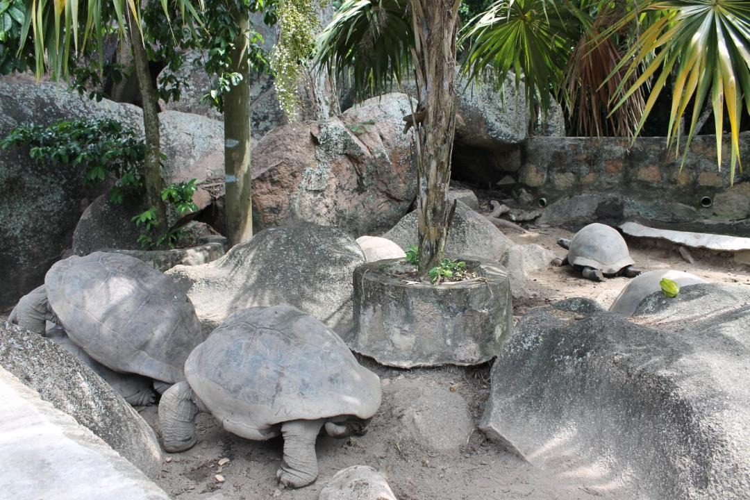 Photo of Others in La Digue
