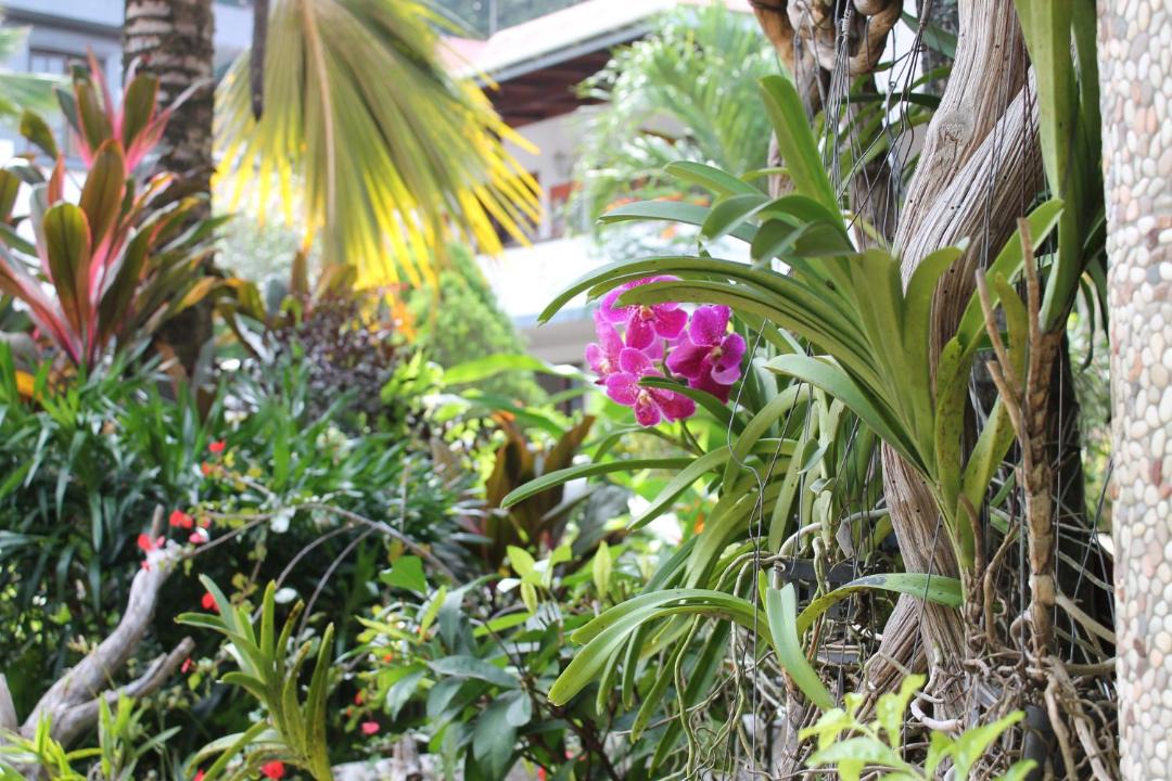 Photo of Others in La Digue