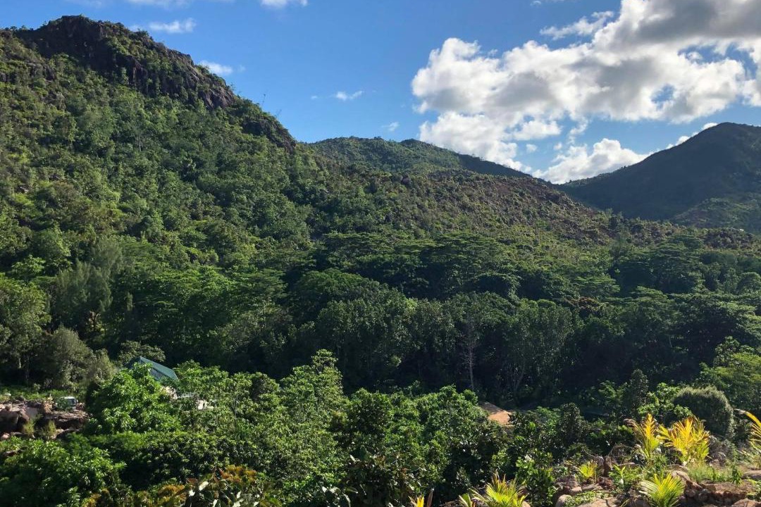 Photo of Others in Anse Volbert Village