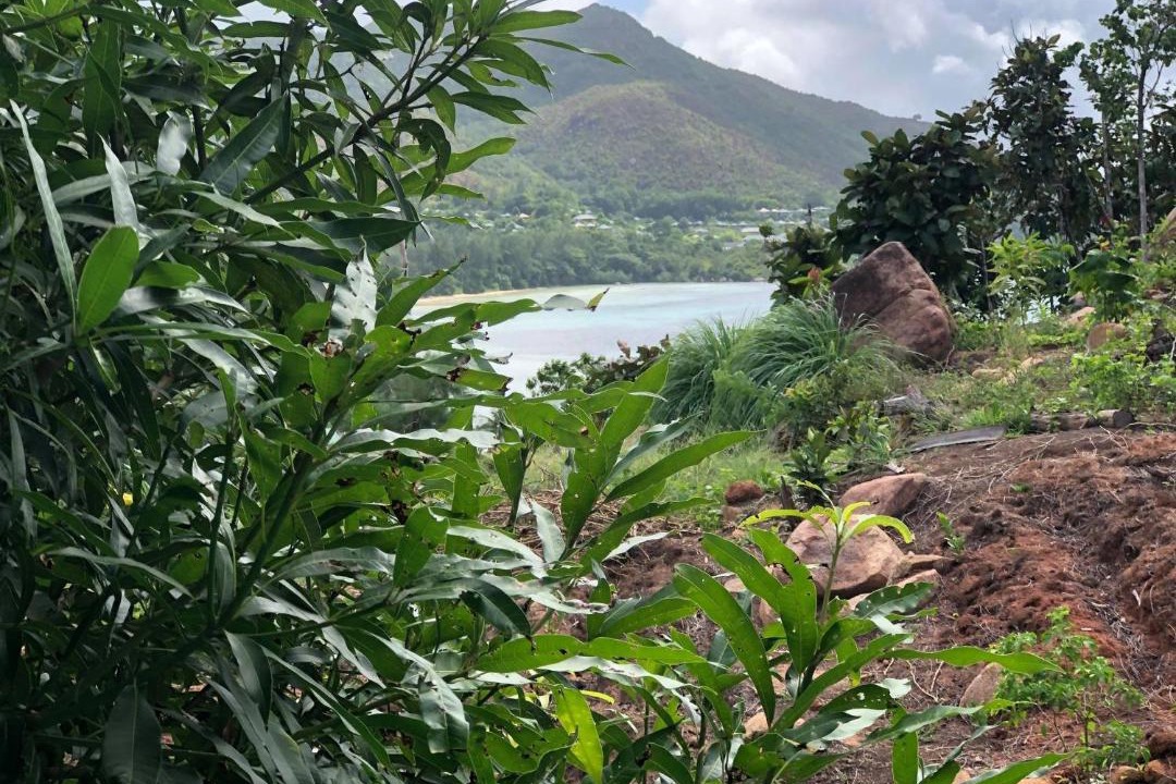 Photo of Others in Anse Volbert Village