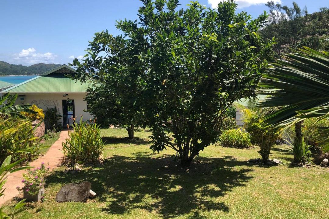 Photo of Others in Anse Volbert Village