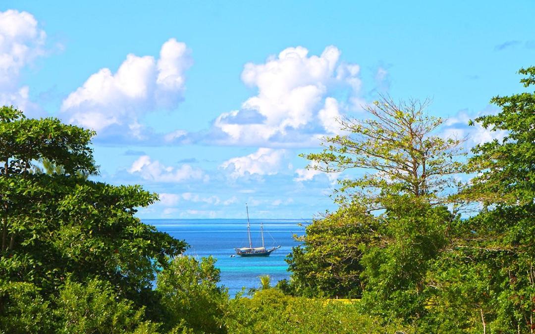 Photo of Outdoor in Praslin Island