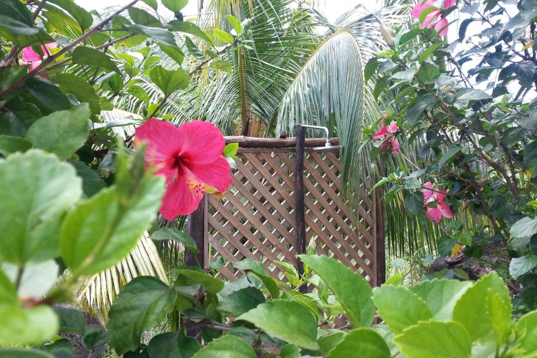 Photo of Others in La Digue
