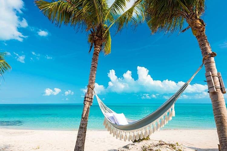 Photo of Outdoor in Long Bay