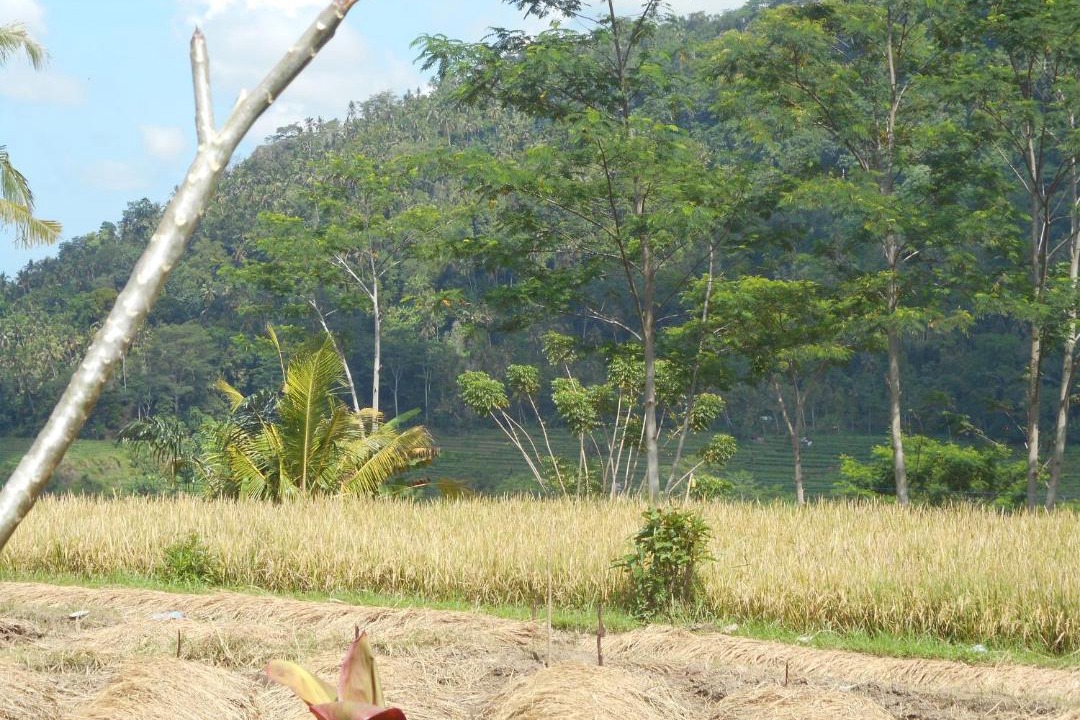 Photo of Outdoor in Sidemen