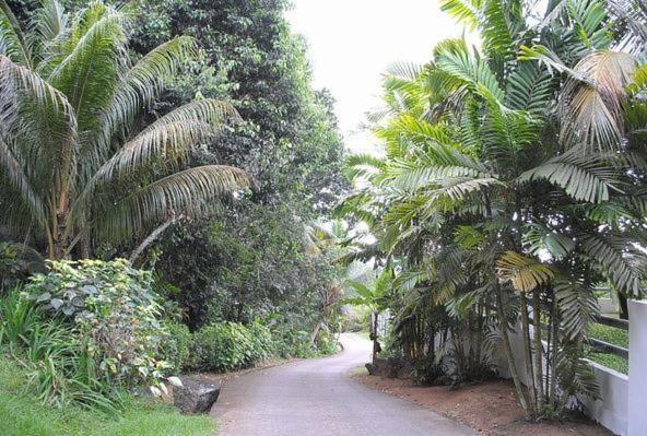 Photo of Others in Anse Royale