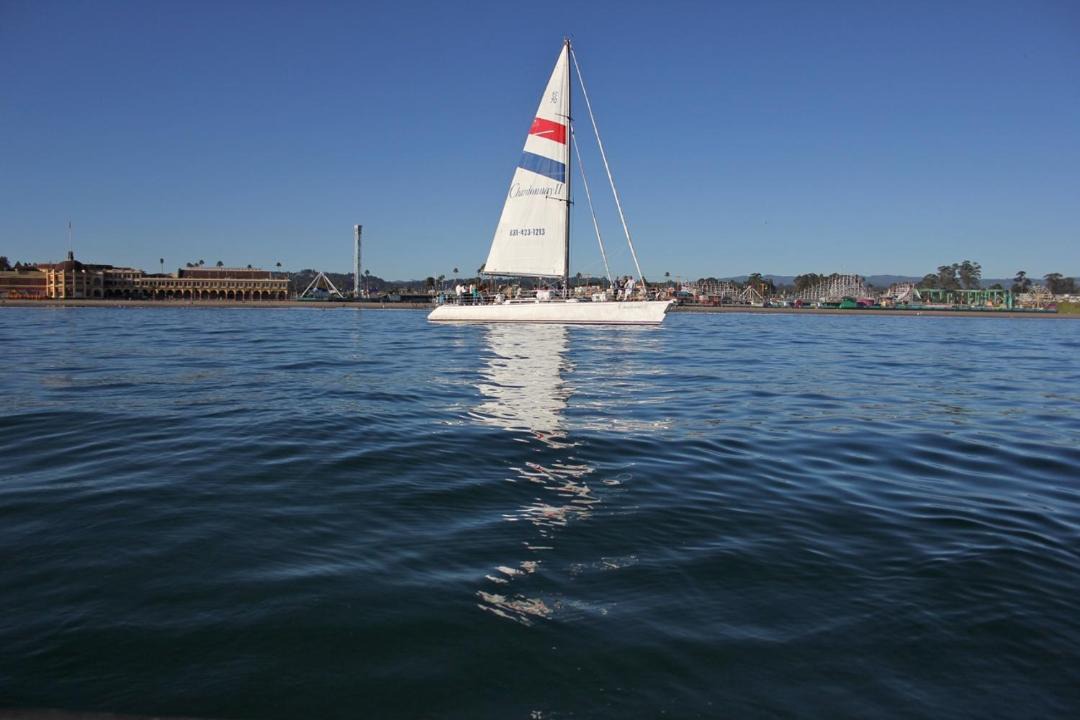Photo of Others in Eastside Santa Cruz