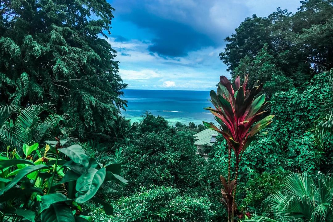 Photo of Others in Mahe Island