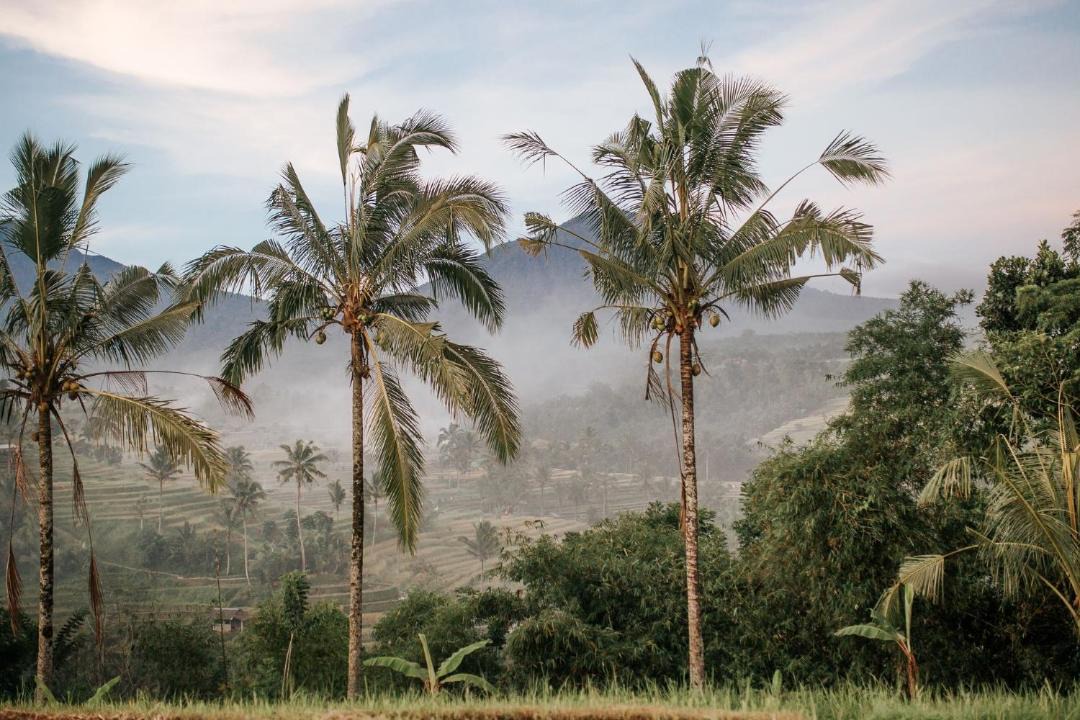 Photo of Outdoor in Dyanapura