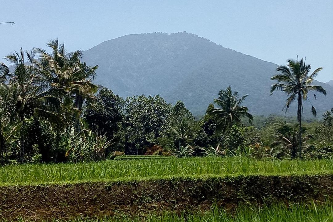 Photo of Others in Wongaya Gede