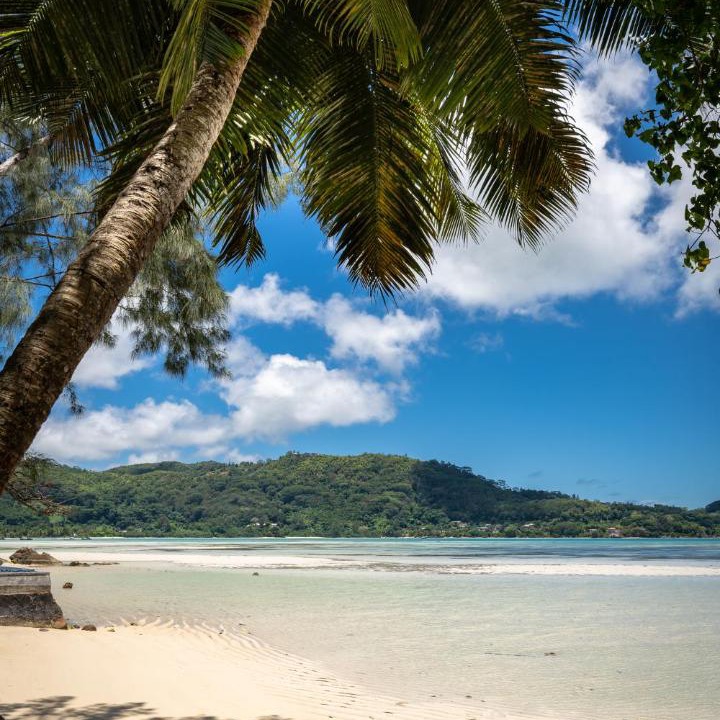 Photo of Others in Anse La Mouche