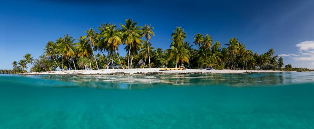 Photo of Outdoor in Tikehau