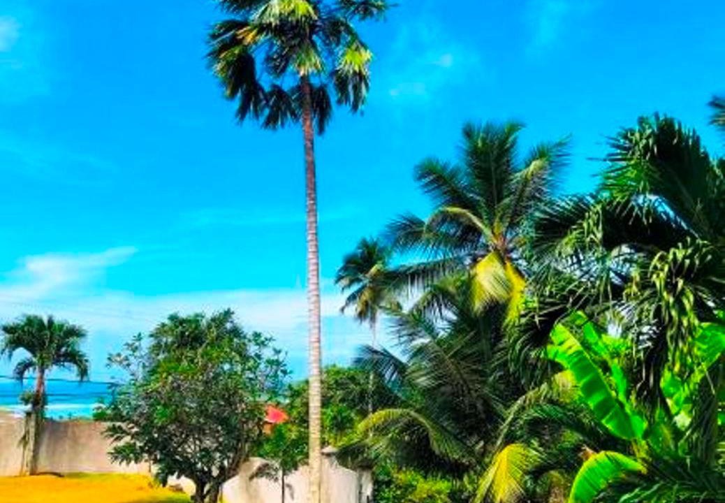 Photo of Outdoor in Anse aux Pins