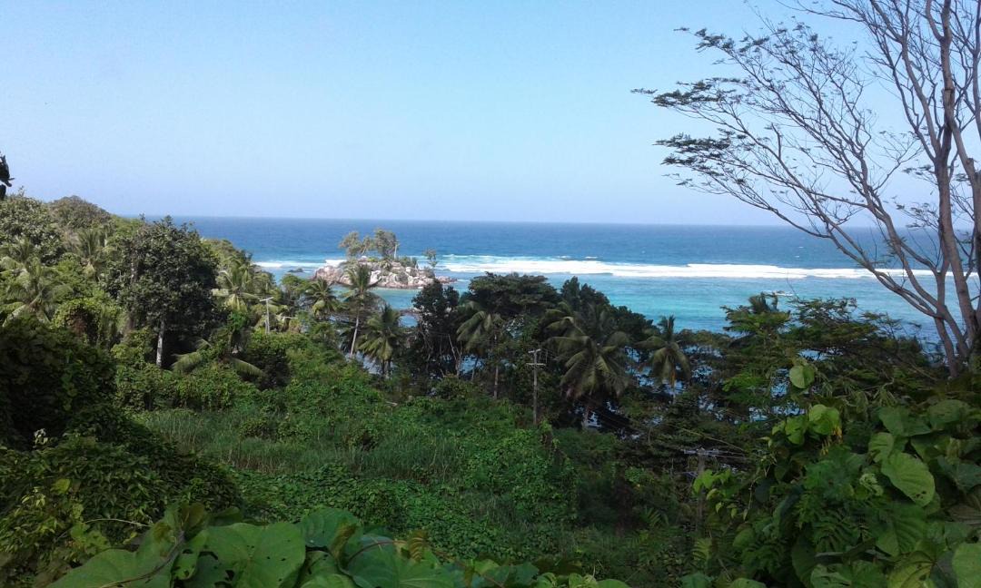 Photo of Others in Anse Royale