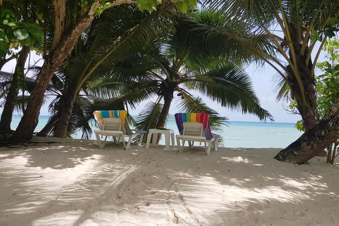 Photo of Others in Anse Kerlan