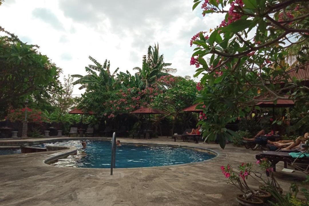 Photo of Outdoor in Lovina