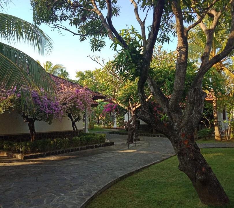 Photo of Outdoor in Lovina