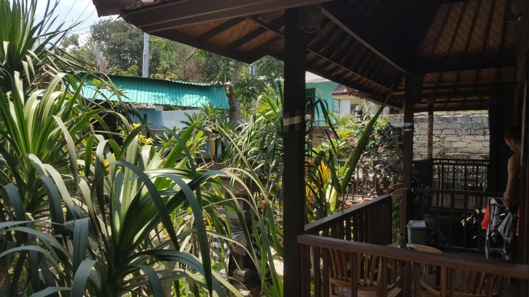 Photo of Patio Balcony in Mushroom Bay