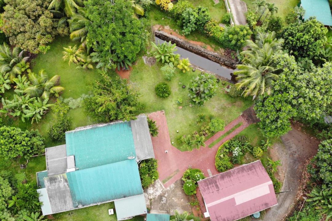 Photo of Others in Anse Boileau